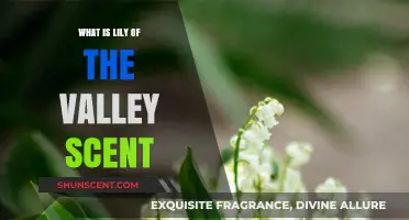 Exploring the Delicate and Enchanting Lily of the Valley Scent