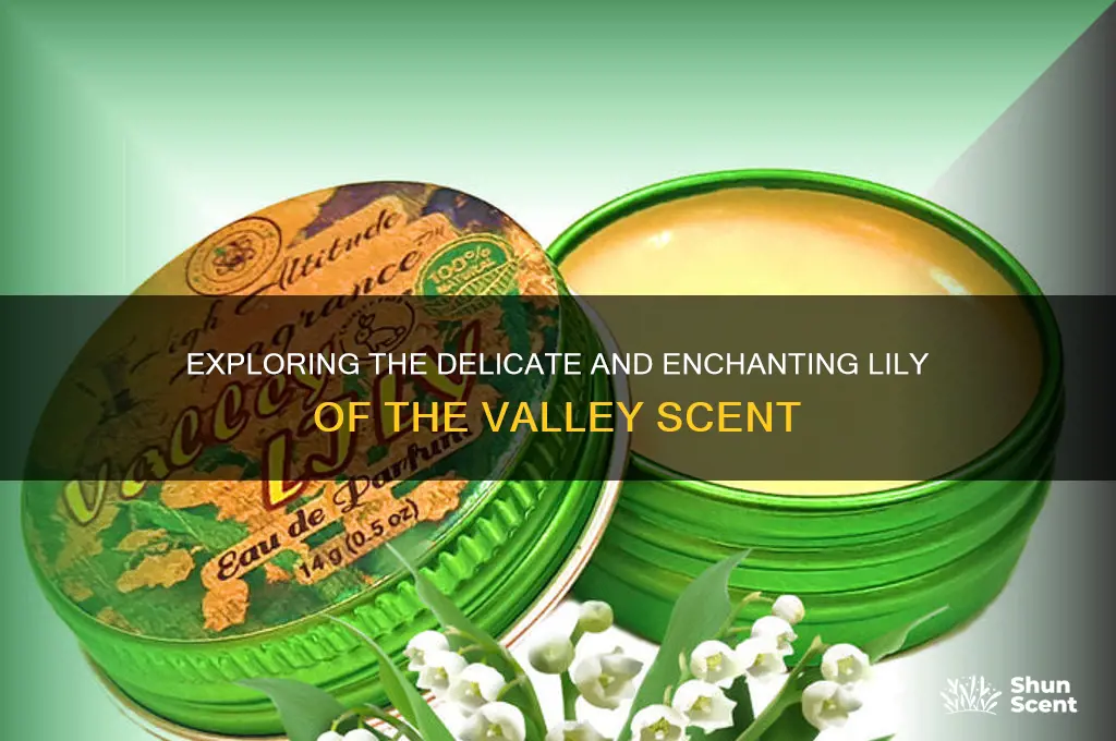 what is lily of the valley scent