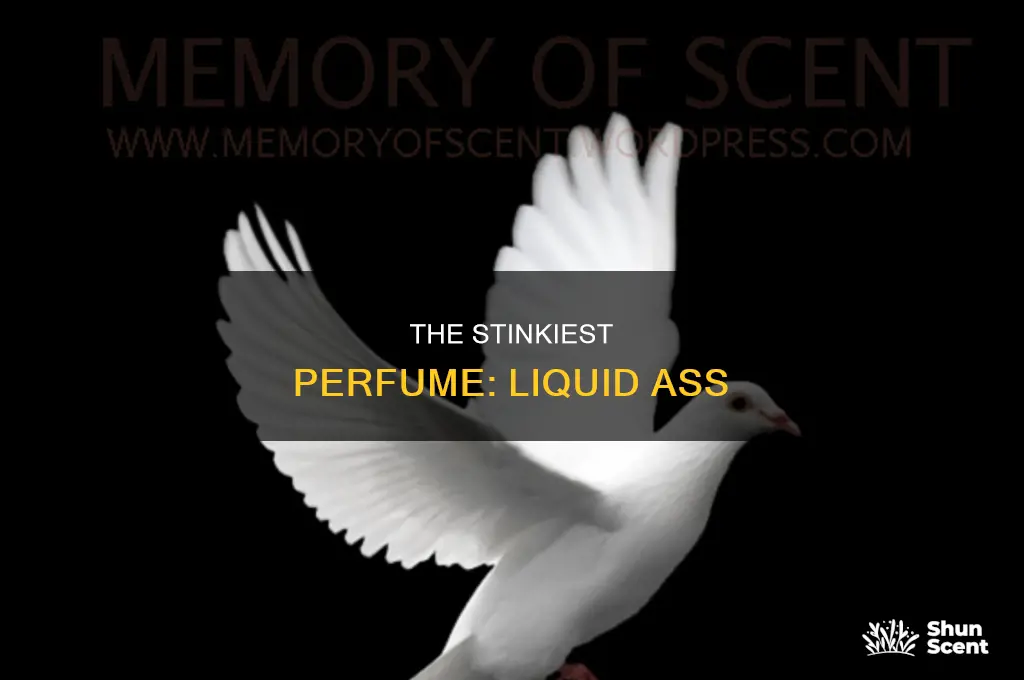 what is liquid ass perfume