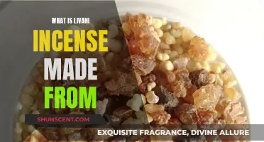 Livani Incense: Natural Resin and Its Benefits