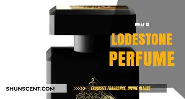 The Magnetic Scent of Lodestone Perfume