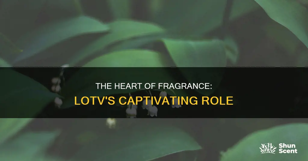 what is lotv in fragrance