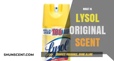 Lysol Original Scent: Unveiling the Classic Aroma and Its Uses