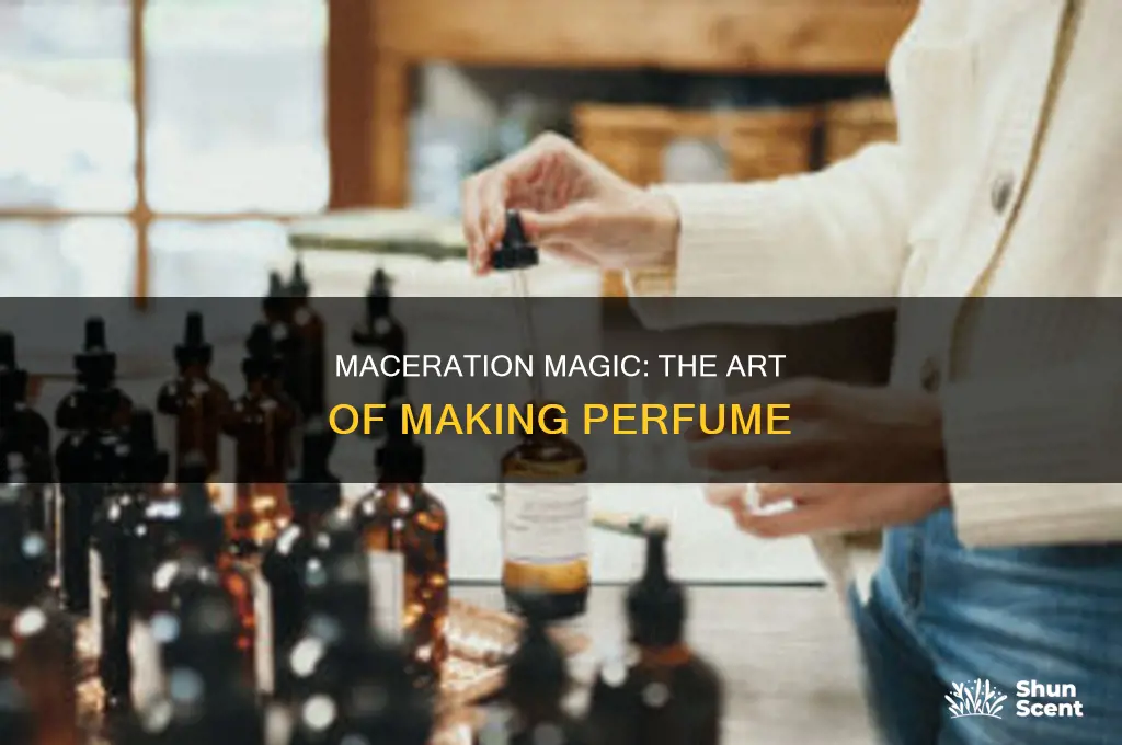what is macerate perfume