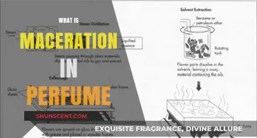 Maceration: The Heart of Perfume Making