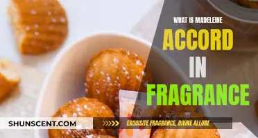 The Madeleine Accord: Fragrance's Unique Chemistry