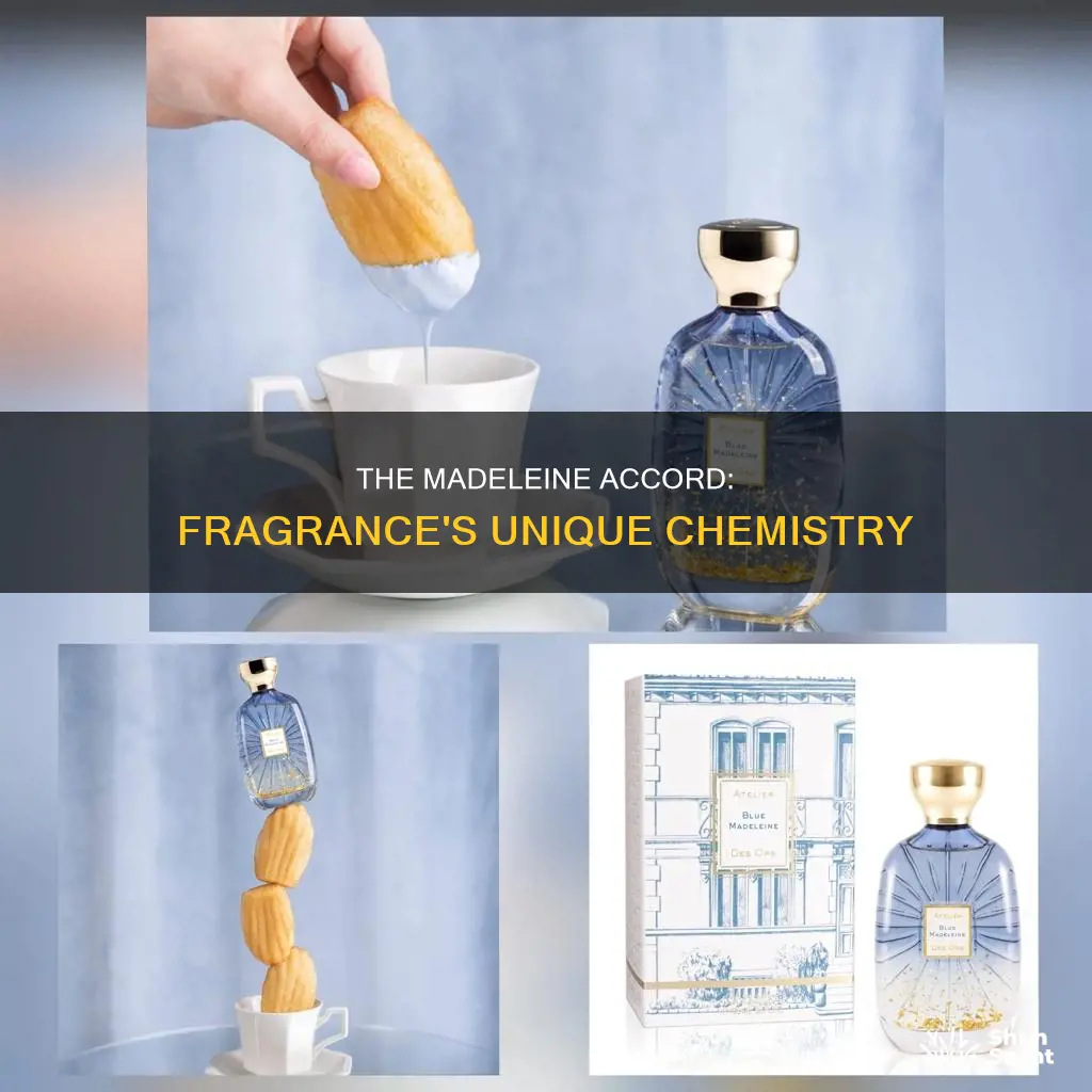 what is madeleine accord in fragrance