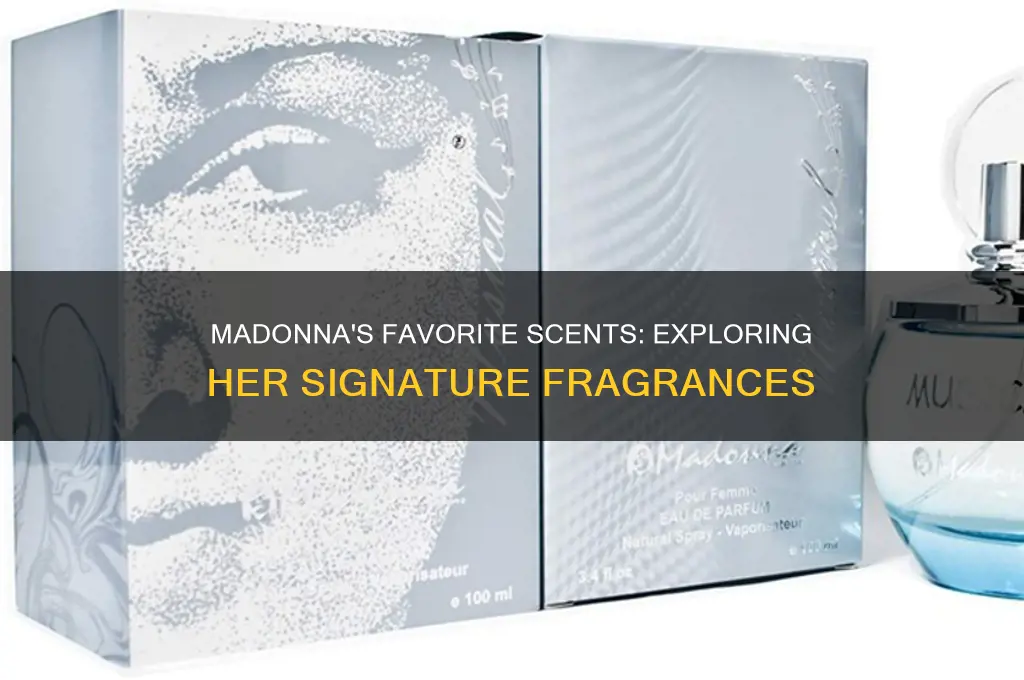 what is madonna