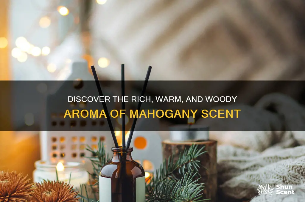 what is mahogany scent
