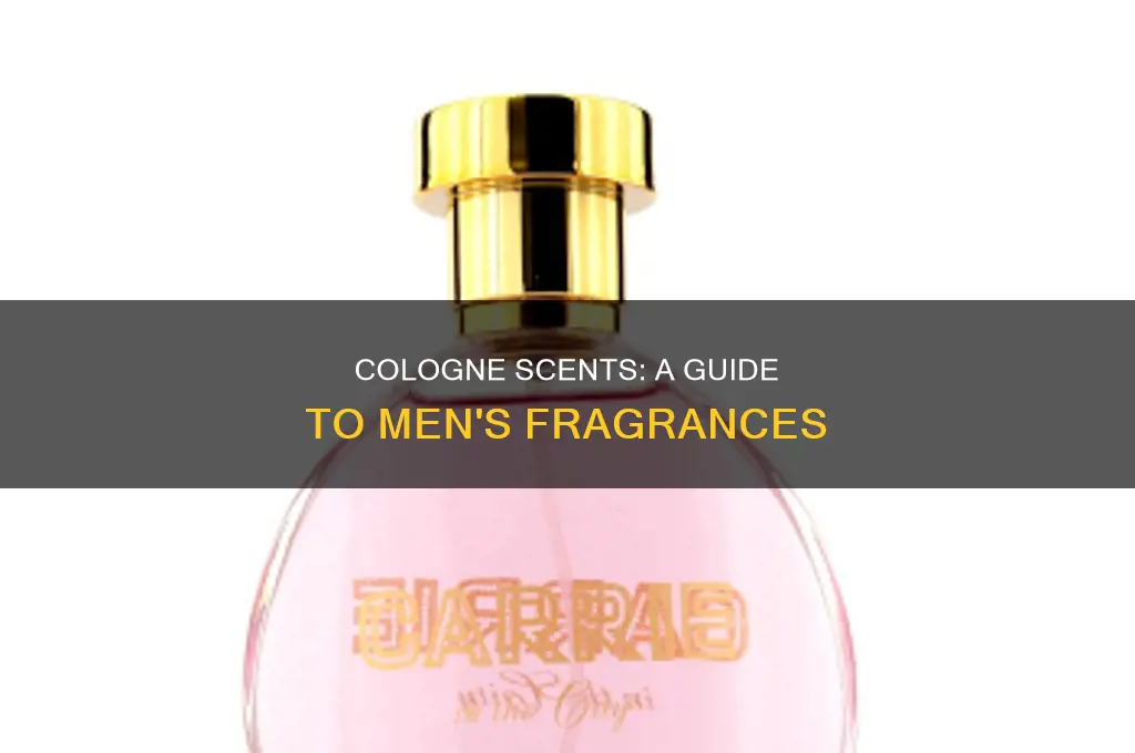 what is male perfume and a german city