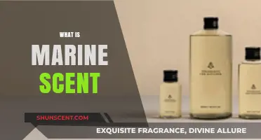 Exploring the Essence of Marine Scent: Origins, Uses, and Benefits