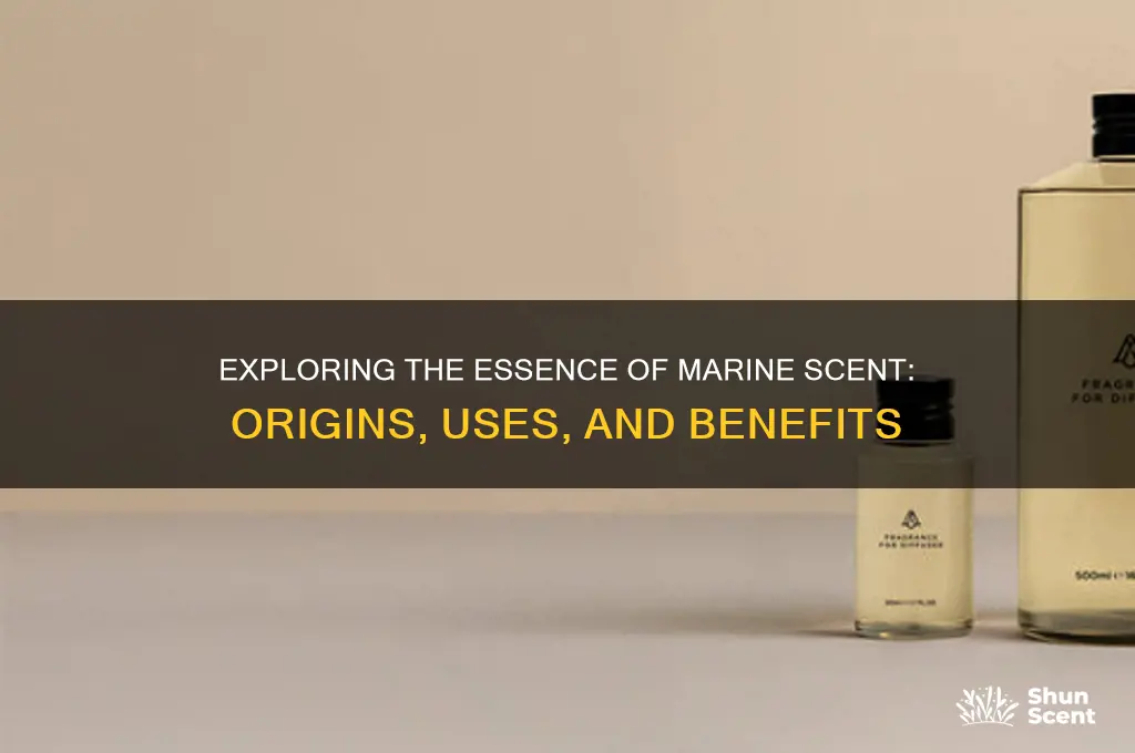 what is marine scent