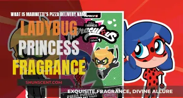 Marinette's Pizza Delivery: Ladybug Princess Fragrance Secrets
