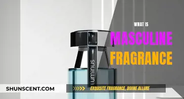 The Allure of Masculine Fragrances: A Beginner's Guide