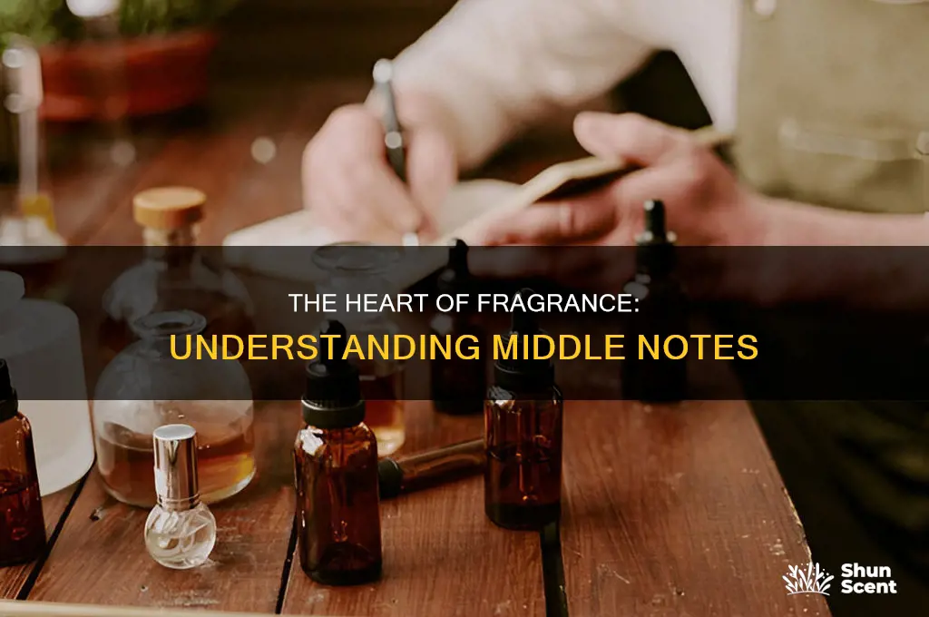 what is middle note in perfume