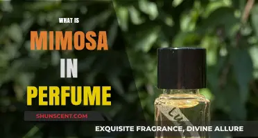 The Sweet Scent of Mimosa in Perfumes