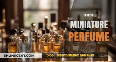Explore the World of Miniature Perfumes