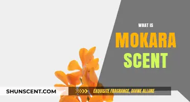 Discover the Alluring Mokara Scent: A Floral Fragrance Guide