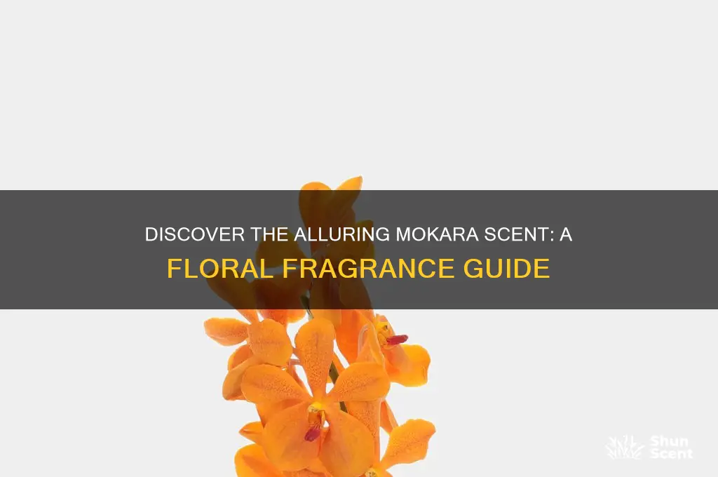 what is mokara scent
