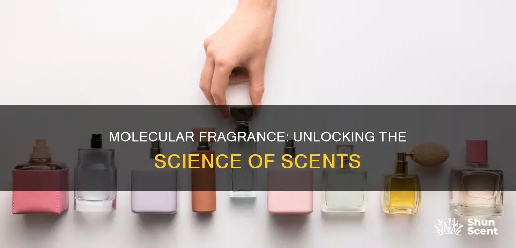 what is molecular fragrance