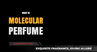 Molecular Perfumes: The Science of Scents
