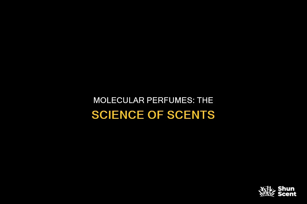what is molecular perfume