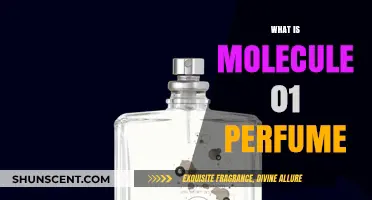 Molecule 01 Perfume: The Science of Attraction