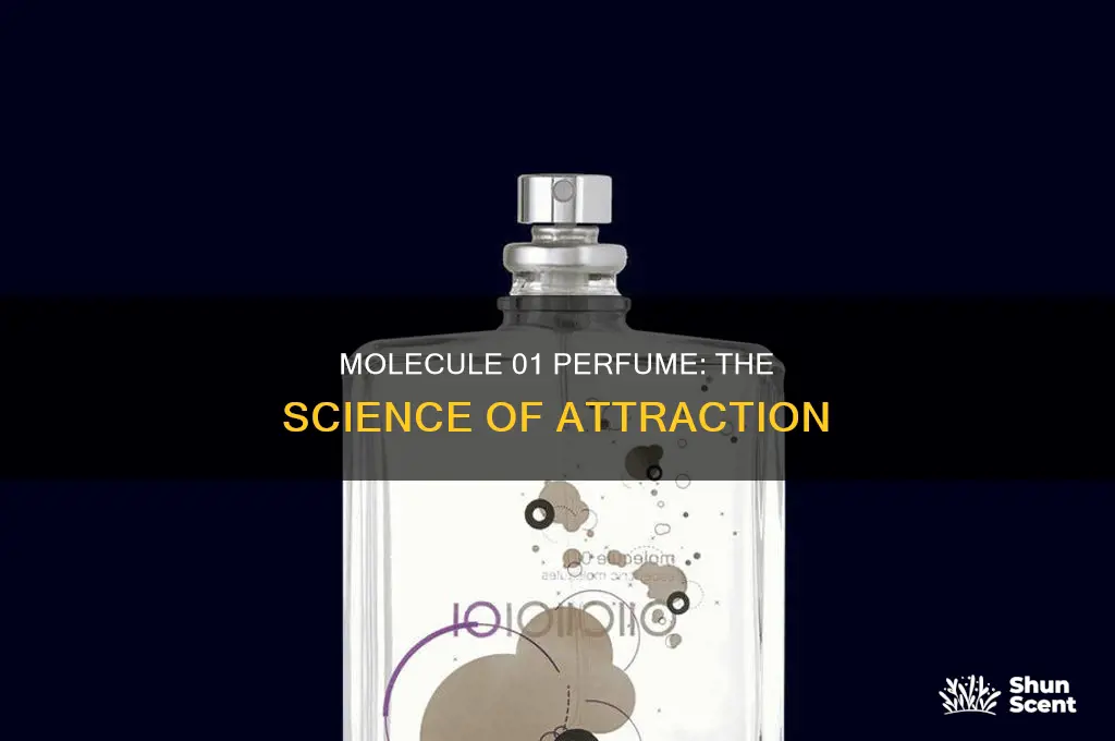 what is molecule 01 perfume