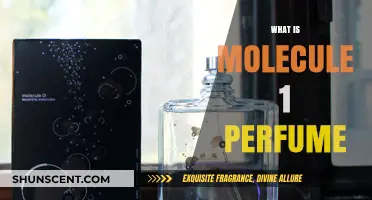 Molecule 01 Perfume: The Science of Fragrance