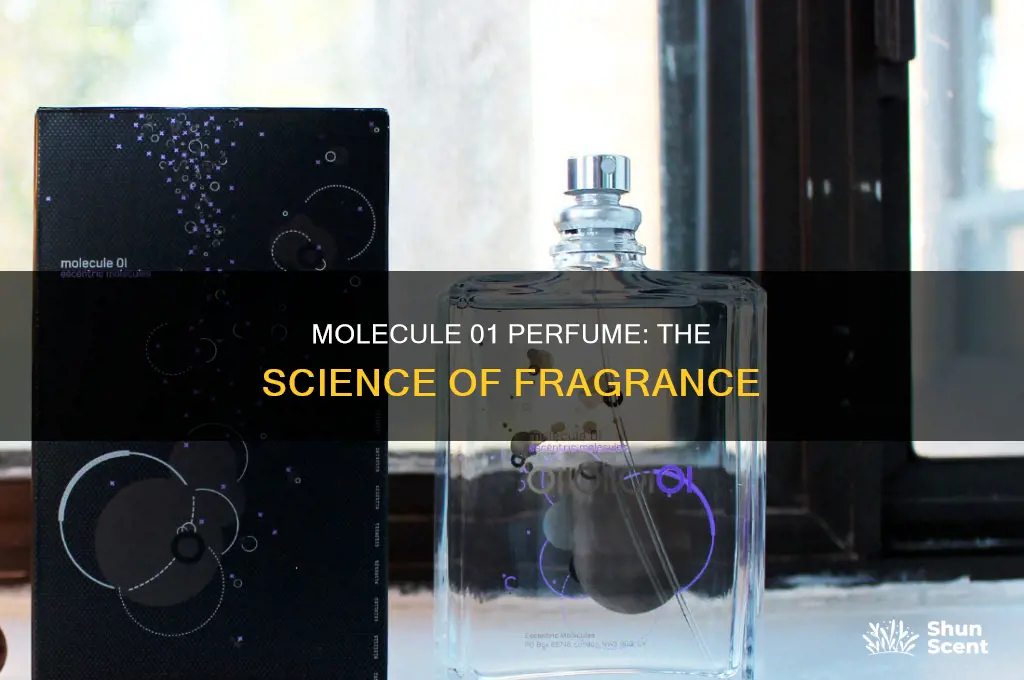 what is molecule 1 perfume
