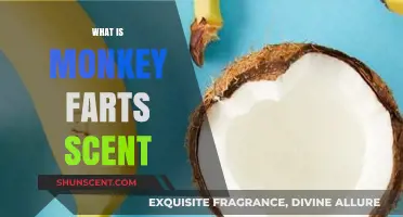 Unveiling the Mystery: What Does Monkey Farts Scent Smell Like?