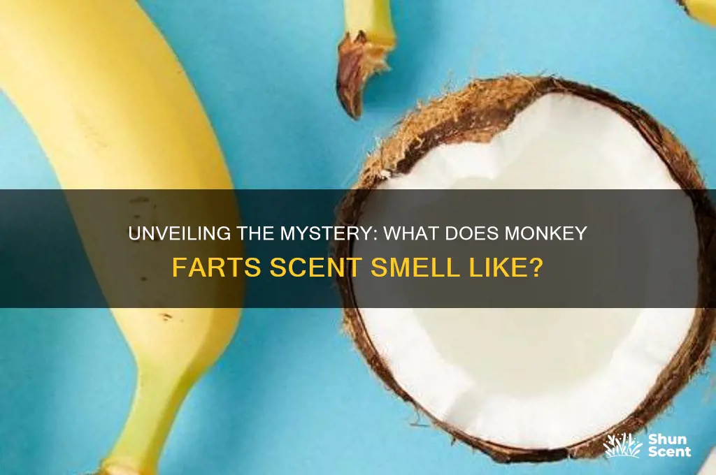 what is monkey farts scent