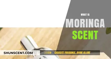 Discover the Unique and Refreshing Aroma of Moringa Scent