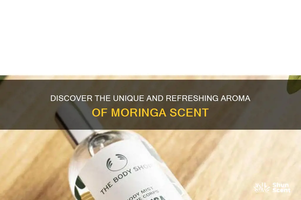 what is moringa scent