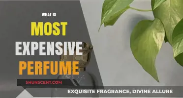 The Most Costly Scents: Exploring Extravagant Perfumes