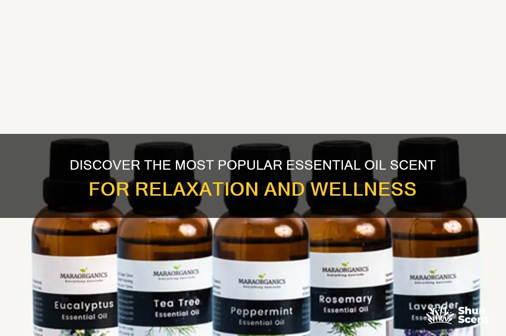 what is most popular essential oil scent