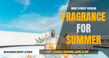 Summer's Most Popular Fragrances: What's Trending This Season?