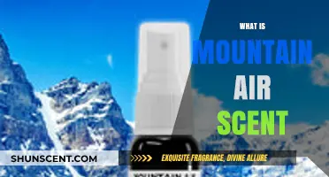 Exploring the Fresh, Crisp, and Invigorating Mountain Air Scent