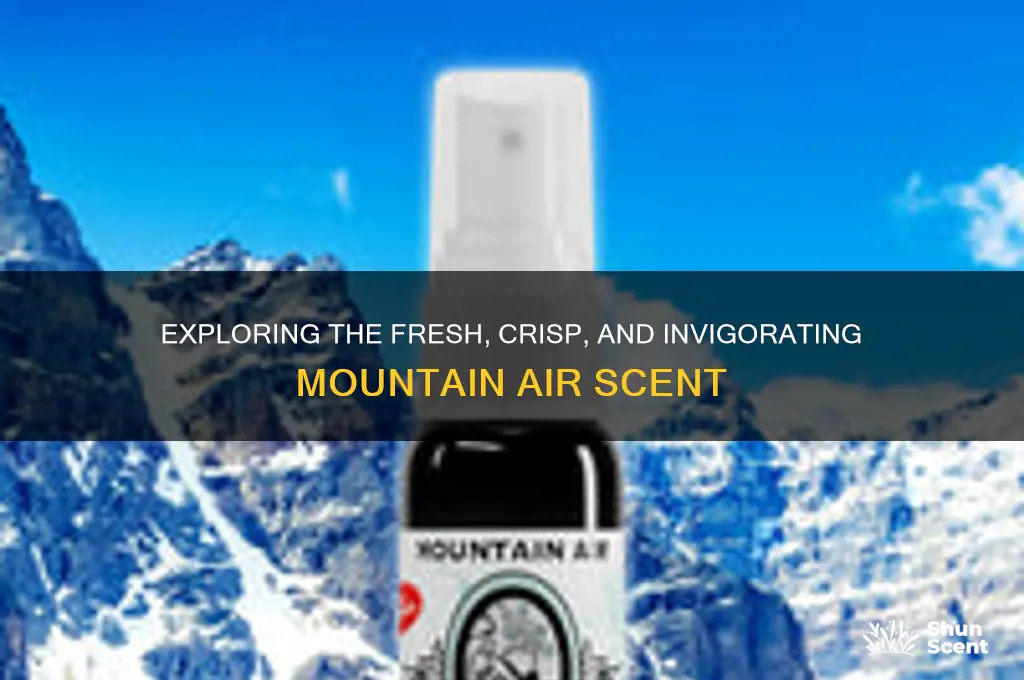 what is mountain air scent