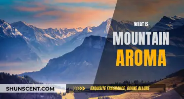 Mountain Aroma: A Fragrant Adventure Above the Clouds