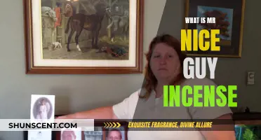 Incense Mystery: Mr. Nice Guy Unveiled