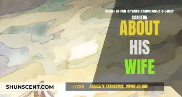Spring Fragrance's Concern: His Wife's Wellbeing