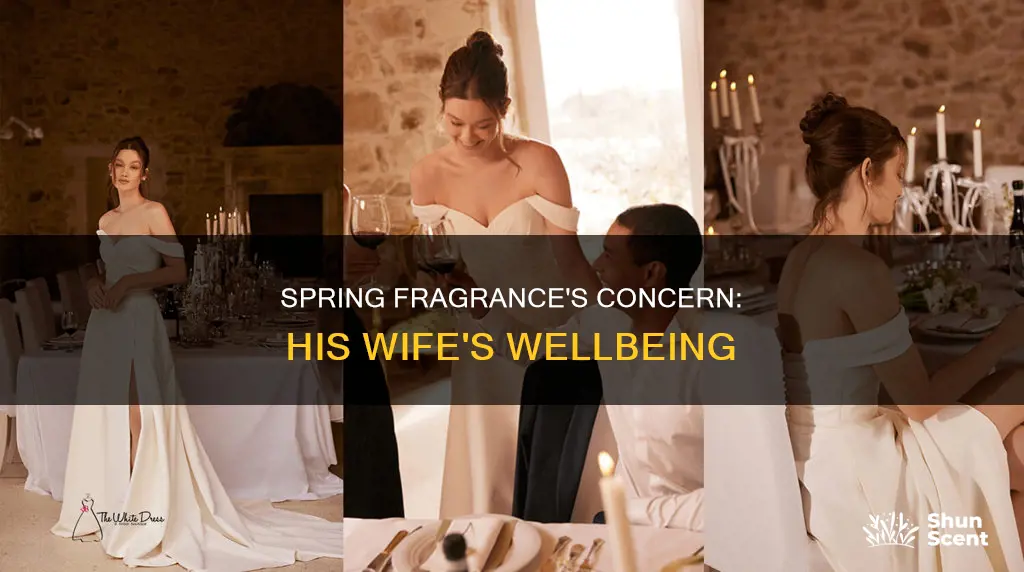 what is mr spring fragrance