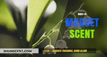 Discover the Delicate and Enchanting Aroma of Muguet Scent