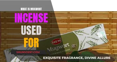 Mugwort Incense: Benefits and Uses for Wellbeing