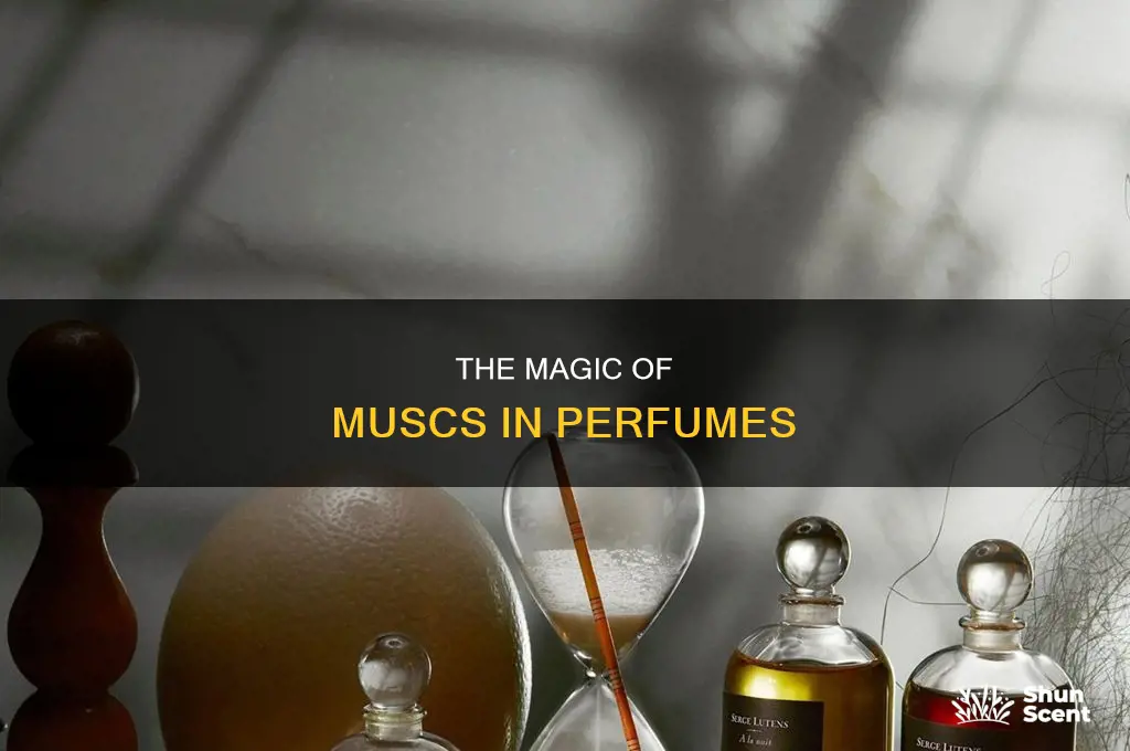 what is musc in perfume