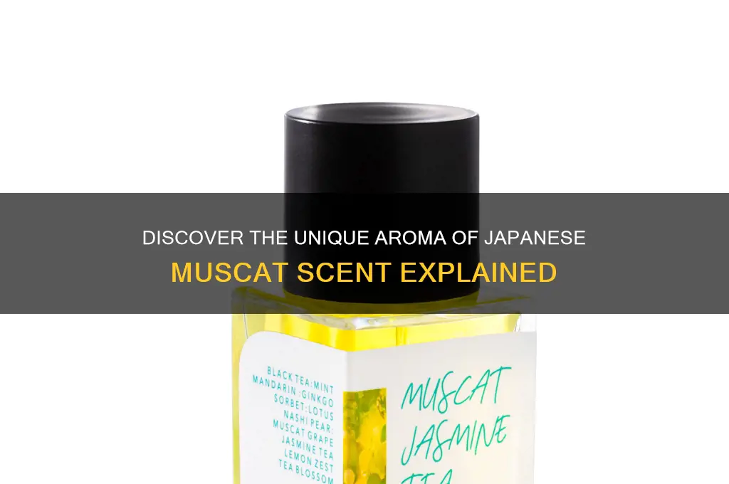 what is muscat scent japanese