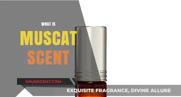 Exploring the Rich, Sweet, and Earthy Aroma of Muscat Scent