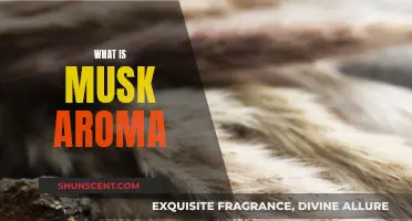 The Musk Aroma: Its Unique Scent and Appeal