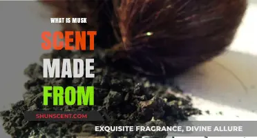 Unveiling the Origins: What Ingredients Create the Musk Scent?